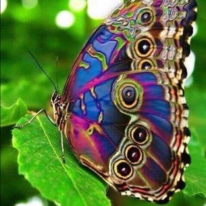 Meet your Posher, Jane